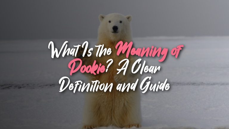 what_is_the_meaning_of_pookie